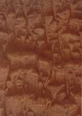 Closeup real natural wood grain of veneer background and texture, Pattern for decoration. Blank for design. Use for select material idea decorative furniture surface. Exotic veneer material.