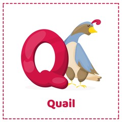 Alphabet printable flashcards vector with letter Q.