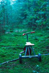 Abandoned kids tricycle on mossy ground in fir forest.