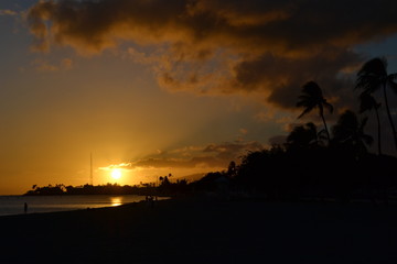 Fototapeta premium sunset over the sea
