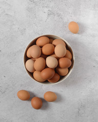 Fresh organic chicken eggs from a poultry