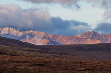 Fototapeta premium Denali National Park Alaska Scenic Autumn Landscape