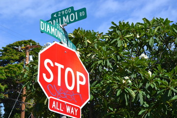 stop sign on road
