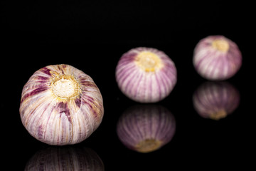 Group of three whole fresh purple single clove garlic placed diagonally isolated on black glass