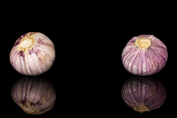 Group of two whole fresh purple single clove garlic isolated on black glass