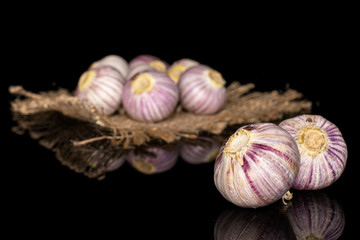 Lot of whole fresh purple single clove garlic on natural sackcloth isolated on black glass