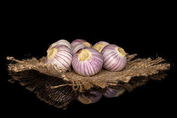 Lot of whole fresh purple single clove garlic on natural sackcloth isolated on black glass