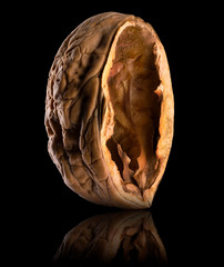 Macro photo of empty shell of walnut with reflection isolated on a black