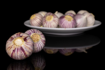 Lot of whole fresh purple single clove garlic on white ceramic plate isolated on black glass