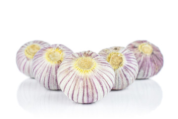 Group of five whole fresh purple single clove garlic isolated on white background