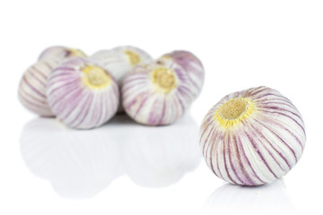 Lot of whole fresh purple single clove garlic isolated on white background