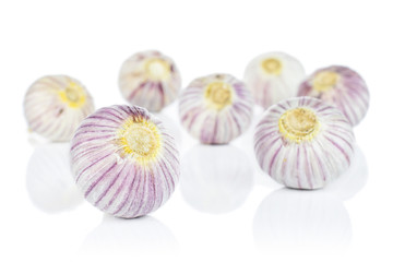 Group of seven whole fresh purple single clove garlic isolated on white background