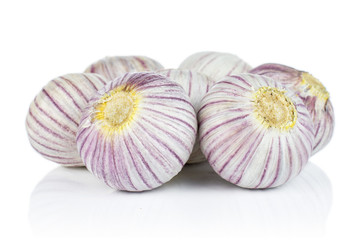 Lot of whole fresh purple single clove garlic isolated on white background