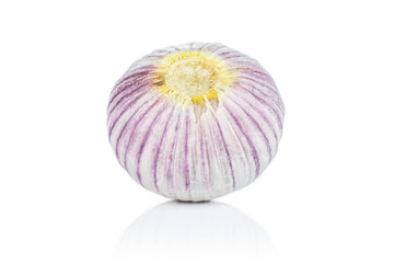 One whole fresh purple single clove garlic isolated on white background