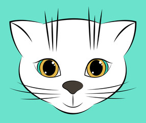 Cute little face of a white cat. Vector illustration.