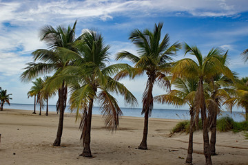 Beach at Key Biscayne Florida