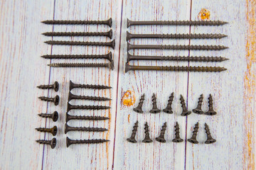 Wood screws are black sorted by size on a light blue wooden table with knots and a beautiful wood...
