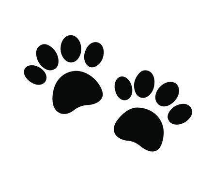 Paw Prints.  Vector Illustration. Isolated vector Illustration. 