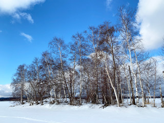 Russia, Chelyabinsk region. One of the islands on lake Uvildy in January in frosty weather