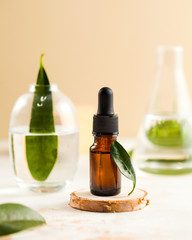 Skin care. Moisturizing face serum on a wooden stand, behind a vase and flask with water and green leaves.