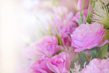 Blurred of roses blooming flowers In pastel style for inserting text and background.