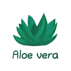 Plant succulent green aloe vera logo white backgrouns. Isolated vector illustration.