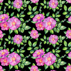 Watercolor seamless pattern with rose hips.