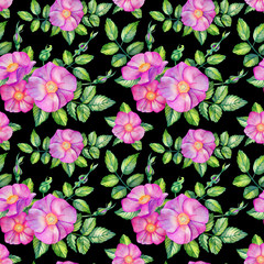 Watercolor seamless pattern with rose hips.