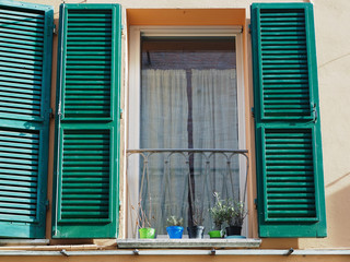 Window with green shutters and plants on the windowsill. Winter sunny day.