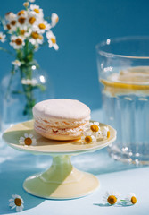 Obraz na płótnie Canvas Macaroon on a stand in the background a glass of water and a bouquet of daisies on a blue background.