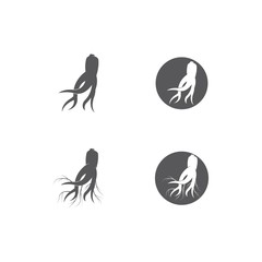 Ginseng vector icon illustration