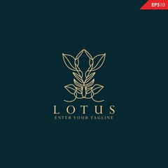 Simple logotype template for premium business. Lotus sign. Abstract flower design. Line creative symbol. 