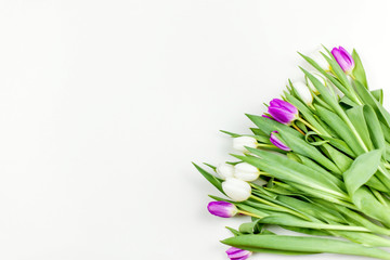 Bouquet of tulips on a white background. White and lilac tulips.