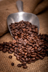 fresh coffee beans