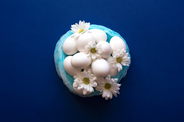 Nest with white eggs and daisies on a trendy blue background.