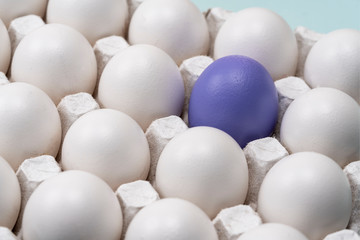 White chicken eggs in cells, and one purple egg is highlighted in the group. symbol of individuality. concept for Easter.