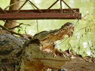 Accra in Ghana - ACC