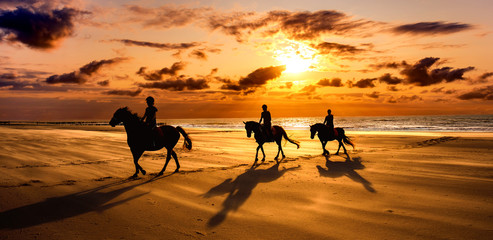 Silhouette of Horsemen at the Sea - obrazy, fototapety, plakaty