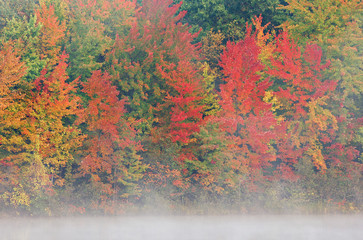 Landscape of the foggy autumn shore of McDonald Lake, Yankee Springs State Park, Michigan, USA