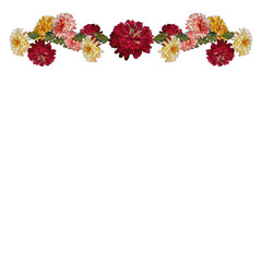 Vector floral horizontal border with multicolored flowers chrysanthemum. Autumn flowers for design, fashion, print, posters, postcard, textile, wedding stationary, greeting card. Copy space.