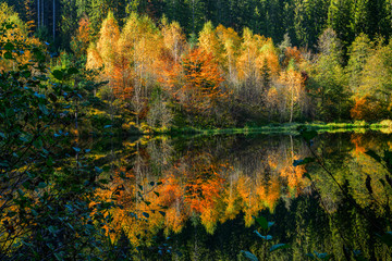 Sankenbachsee mit Herbstwald