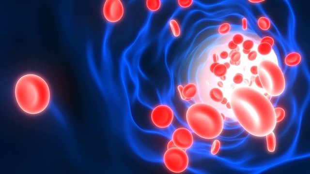 Red Blood Cells Flowing Through Circulatory System