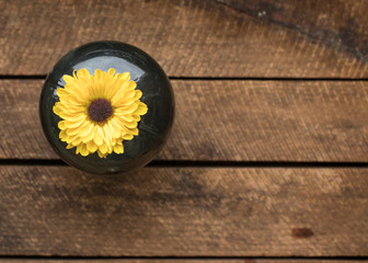 Daisies on vintage wood with  reflective glass for a tough of elegance and a pop of color