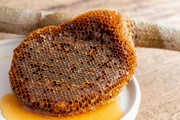 Honeycomb pieces close-up on the white plate with fresh liquid honey golden color beautiful from a bee hive. Food and healthy concept.