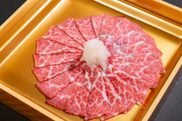 A5 wagyu, japanese meat/beef