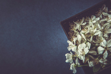 Blossom flowers in gift black box