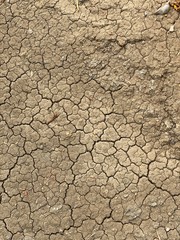 cracked earth texture