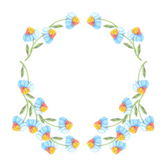 camomile flower frame