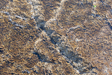 Mammoth Hotsprings Yellowstone in Winter