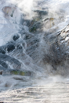 Mammoth Hotsprings Yellowstone in Winter